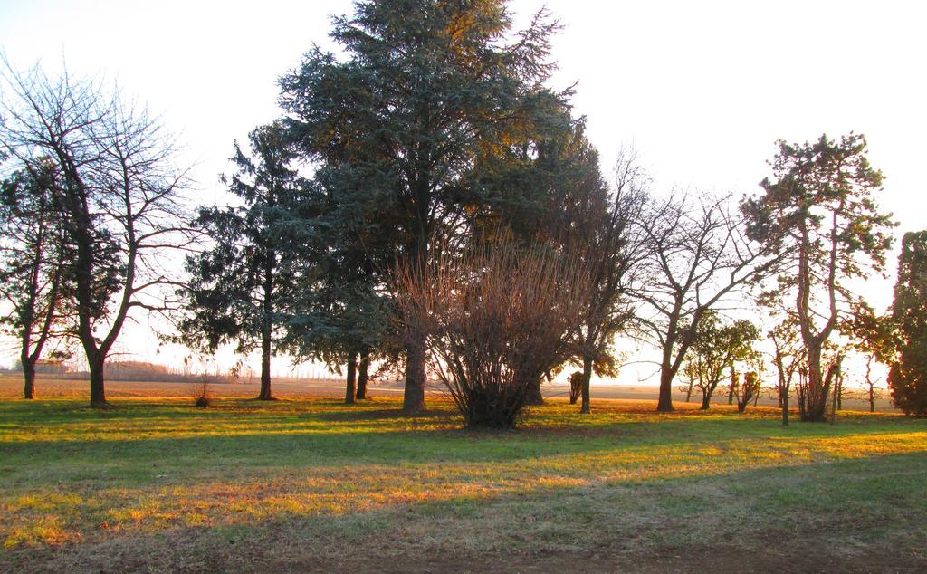La Centuria Societa Agricola Casa Vacanze Terzo d' Aquileia Экстерьер фото