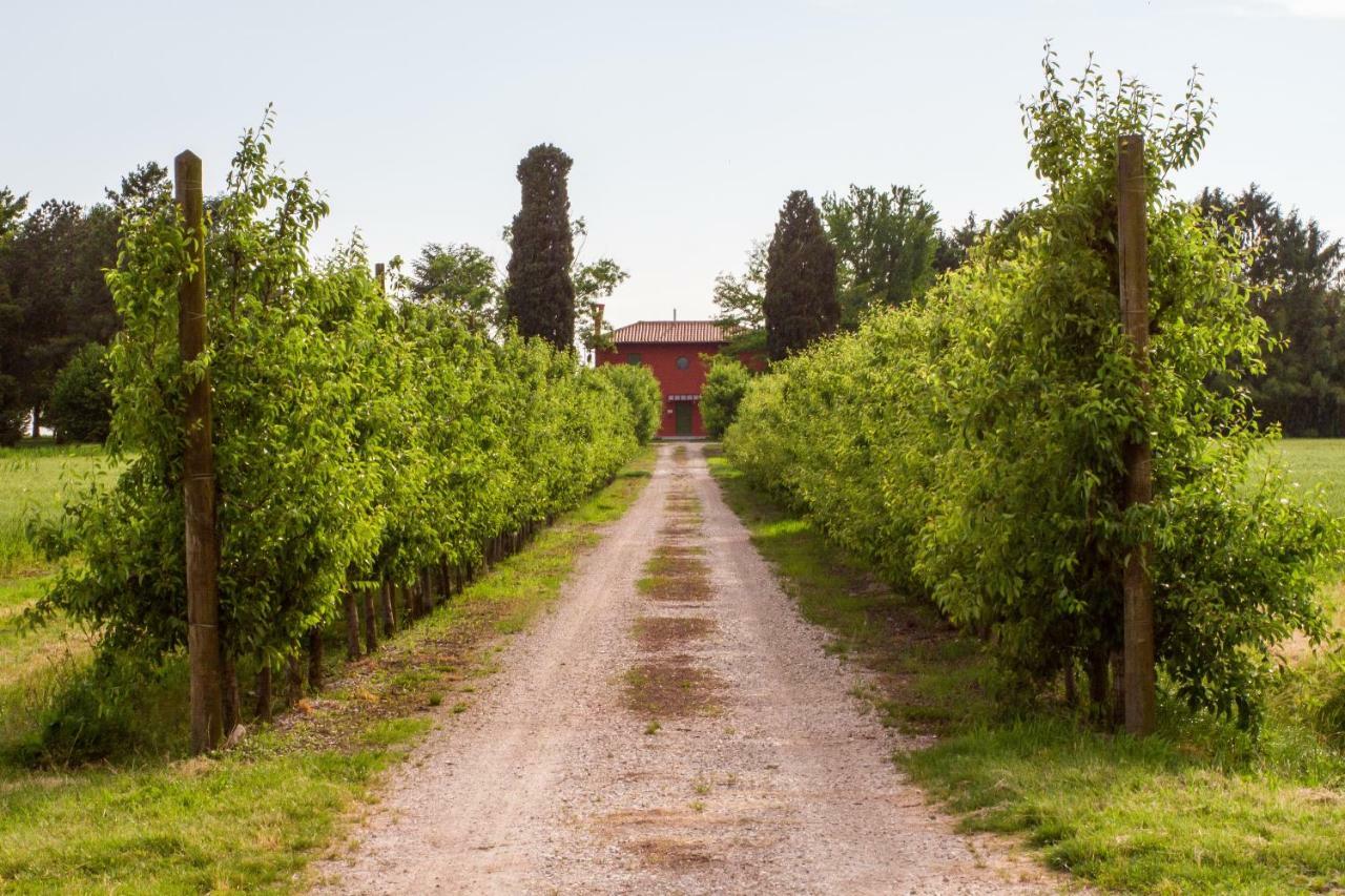 La Centuria Societa Agricola Casa Vacanze Terzo d' Aquileia Экстерьер фото