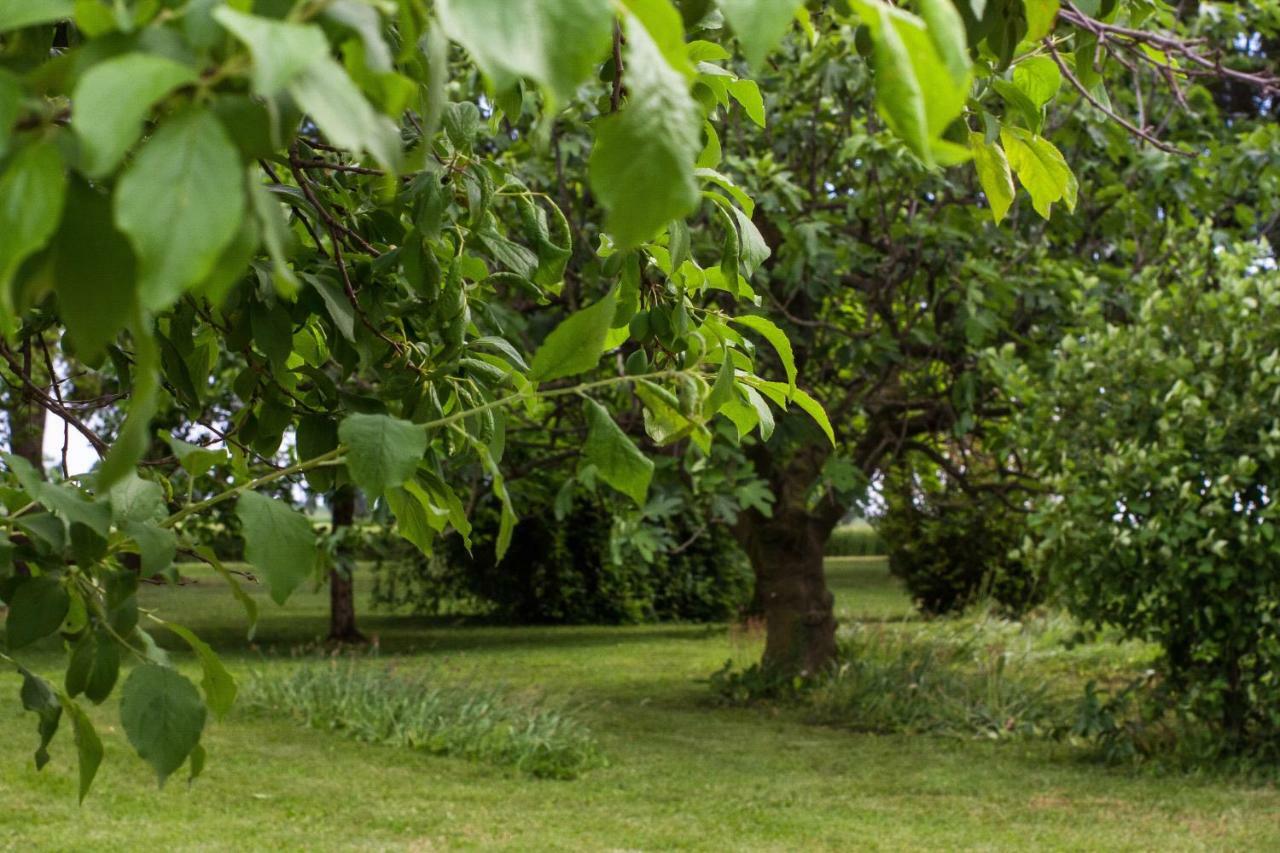 La Centuria Societa Agricola Casa Vacanze Terzo d' Aquileia Экстерьер фото